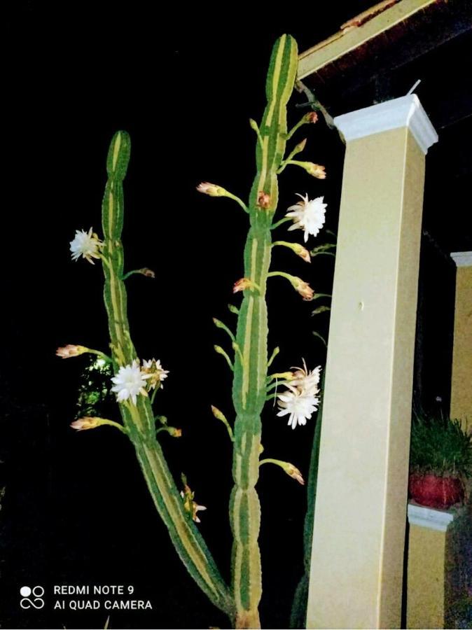 Roula'S House Villa Nymfai ภายนอก รูปภาพ
